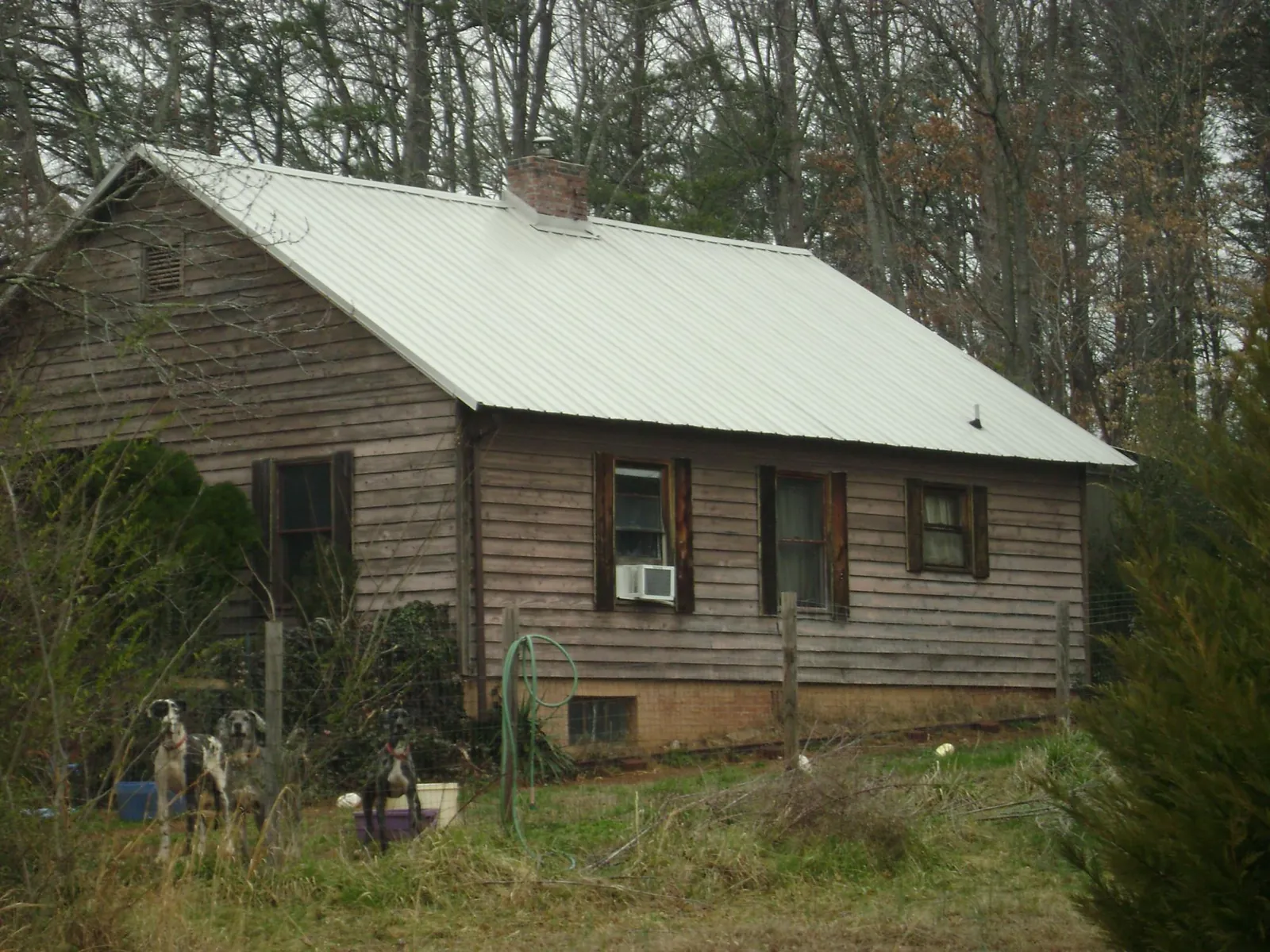 White metal roof on an old wood sided farmhouse, from a Asphalt Shingle Roof Repair job in Pauma Valley